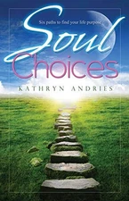 SOUL CHOICES: SIX PATHS TO FIND YOUR LIFE PURPOSE By Kathryn Andries *Excellent*