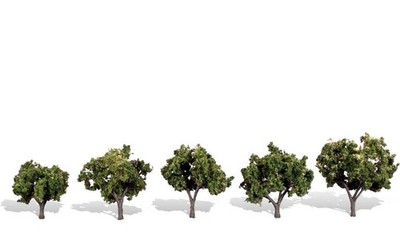 Classic Trees, Sun Kissed 1.25-2'' (5)