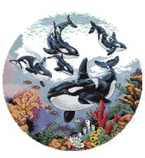 Counted Cross Stitch Kit 14 ct Round Killer Whale Orca 38x38cm NFK DIY UK