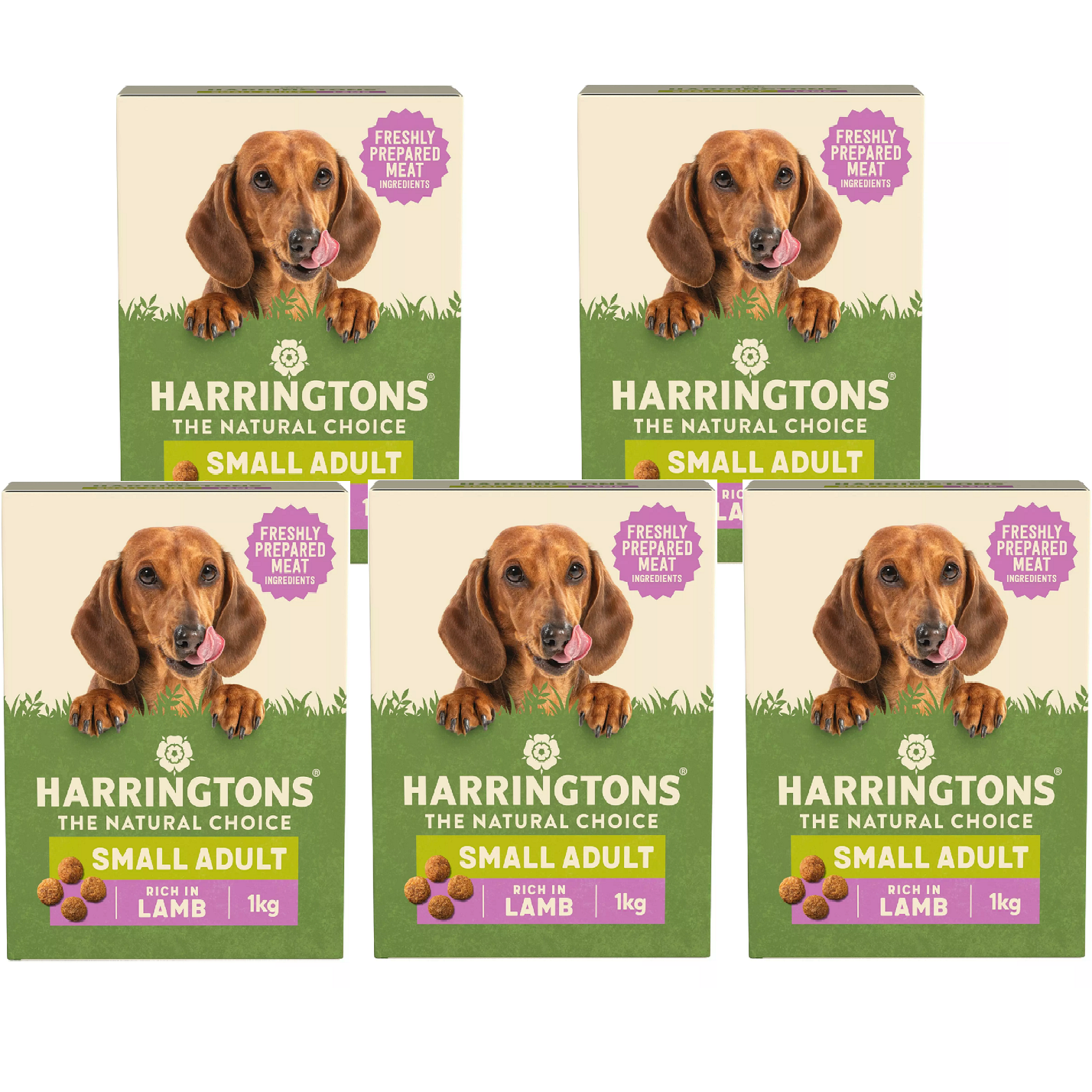HARRINGTONS SMALL DOG (1kg) Lamb Adult Dry Kibble Feed bp Biscuits