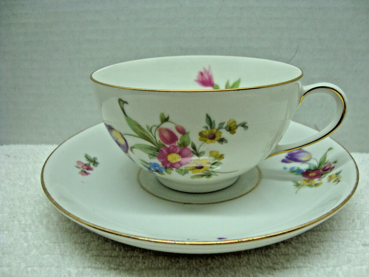 Thomas Sevres Bavaria Porcelain Cup And Saucer, #3557 | eBay