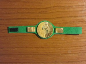 wwe 24 7 championship toy belt