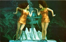 Spring Hill Florida FL : RISQUE - WEEKI WACHEE TOURIST ATTRACTION d/13 BI1404