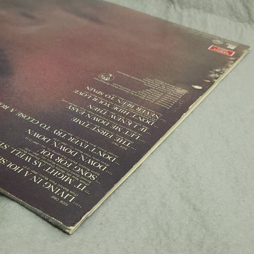 Cher Foxy Lady LP Vinyl 1972 - Imagen 13 de 13