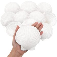 10PCS Large Natural Scallop Shells 4''-5'' Large Shell for Crafts DIY Paintin...