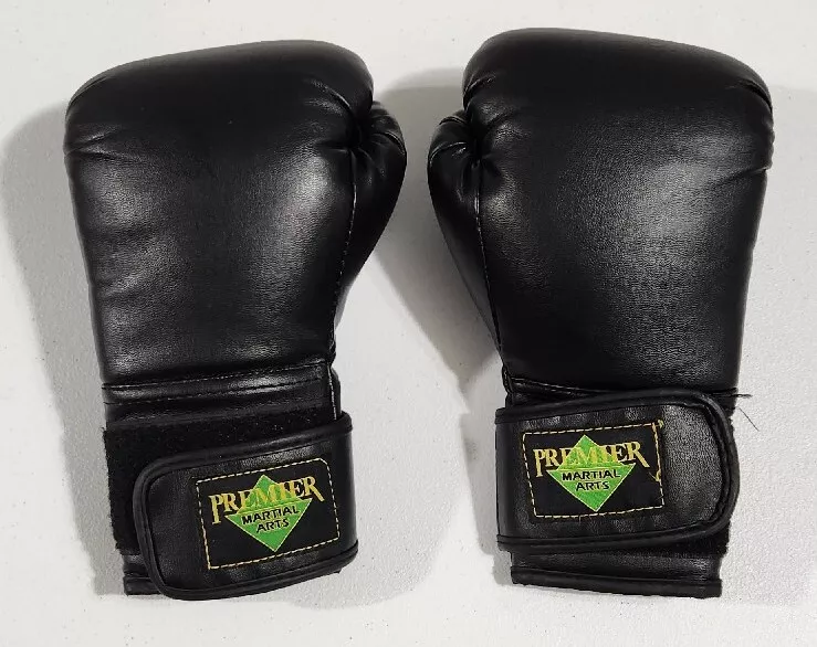 Boxing equipment ebay 2025