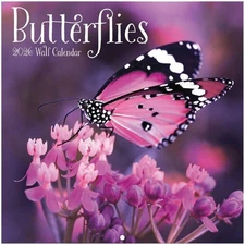 TURNER PHOTOGRAPHIC Butterflies Photo Mini Wall Calendar (26998950054)