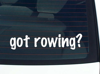 got rowing? CAR DECAL BUMPER STICKER VINYL FUNNY JOKE WINDOW