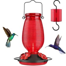 Glass Hummingbird Feeder, 20oz Leak-Proof with Built-in Ant Moat, 4 Bee-Proof...