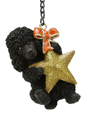 Vivid Arts hängender Mini Stern schwarzer Pudel Welpe Hund Ornament - drinnen oder draußen