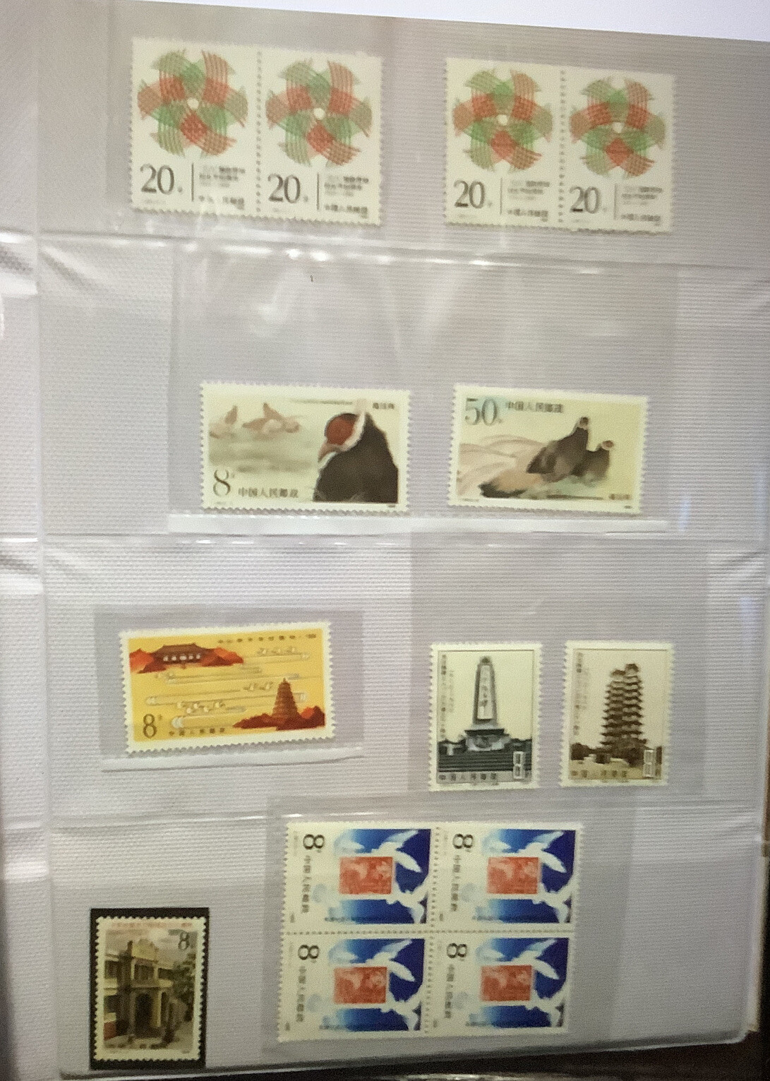 Picture 5 of 12