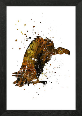 Gänsegeier gerahmtes Wandbild Poster Leinwanddruck Bild