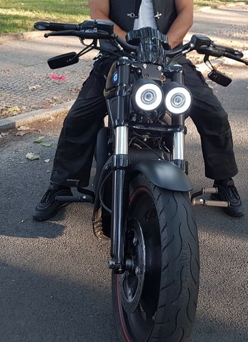 Night Rod ,Fatboy,Night Rod Special - Bild 3 von 7