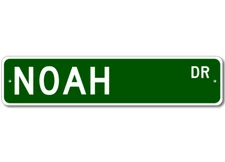 Noah Drive Street Sign Personalized Custom Last Name Metal Sign - Aluminum