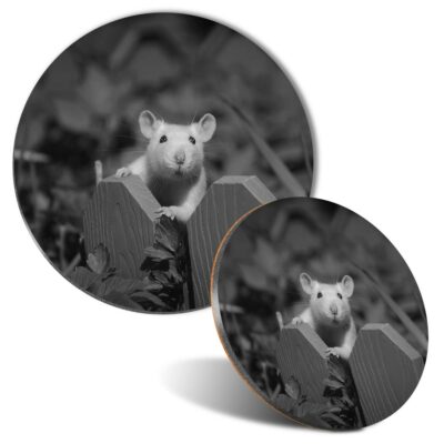 Maus Matte & Untersetzer Set - BW - entzückende weiße Ratte Tiere wild süß #41457