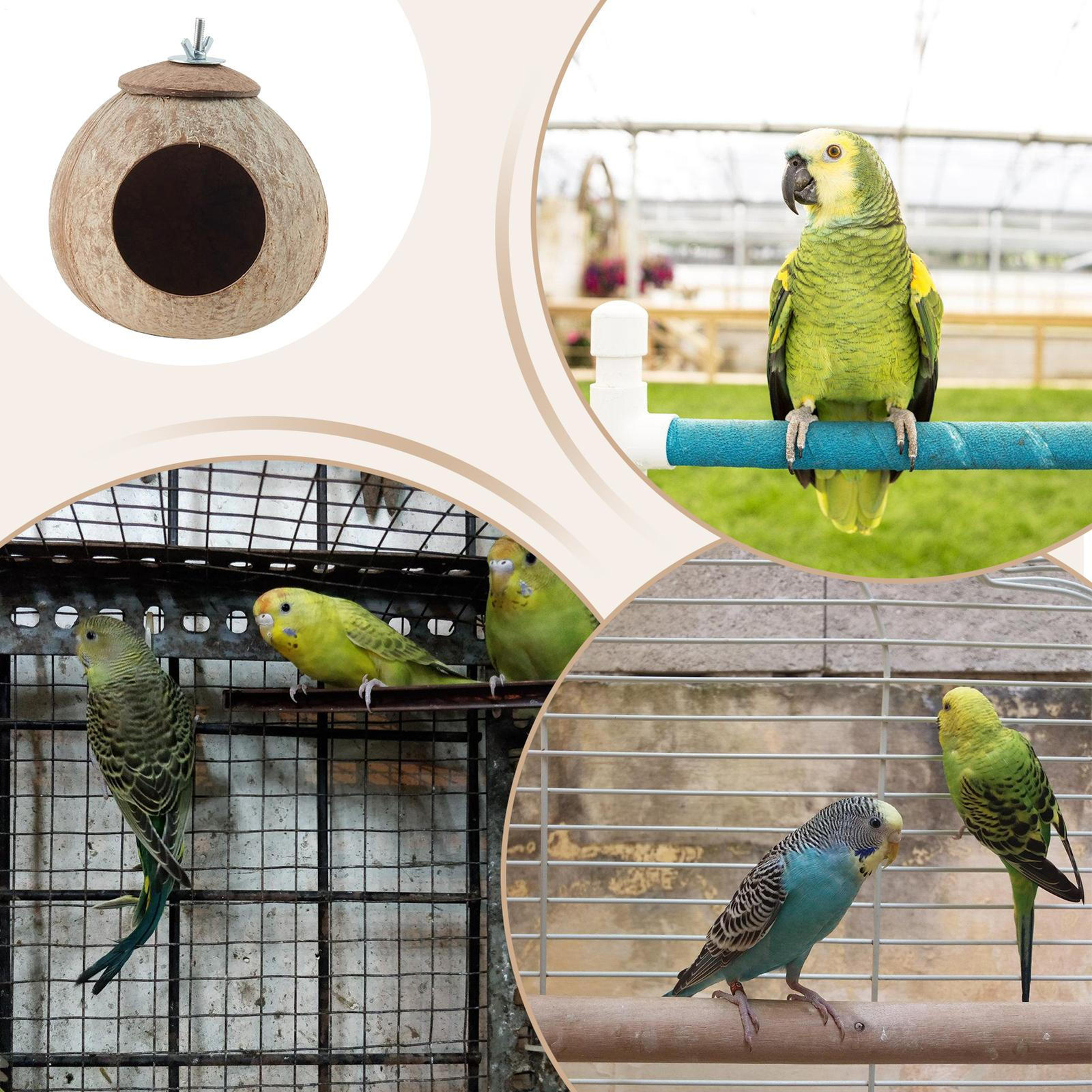 Bild 7 von 14