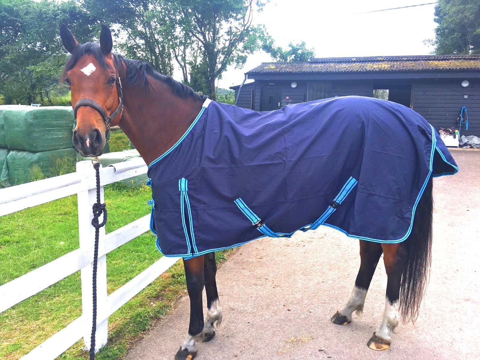 Cwell Equine Light Weight NAVY BLUE turnout rug/rain sheet no fill 600