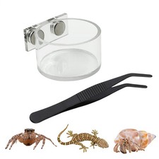Jumping Spider Feeding Dish Water Food Dispenser Kit with Tongs