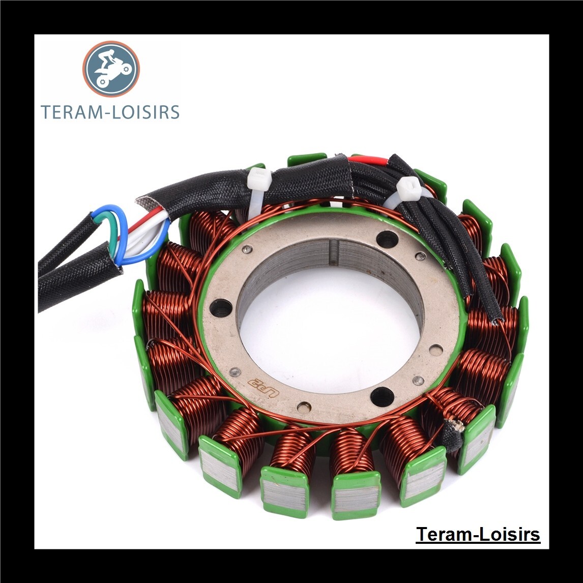 Stator d'allumage pour Yamaha Big Bear 400 4WD compatible avec modèles 2000 à 2012
