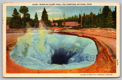 Postcard Morning Glory Pool Yellowstone National Park, Wyoming F13
