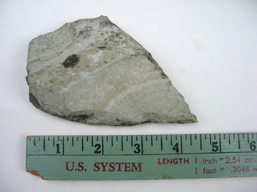 Vintage Alaskan Nature Specimen Collection Lot Bones & Possible Inuit Artifacts - Picture 9 of 11