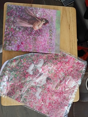 Yongsung Kim Love is Hardcover Novel Fiction. and pillow cover.  Adults