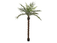 Palma Kentia Deluxe EUROPALMS 300cm - Pianta Artificiale per Decorazioni Tropica