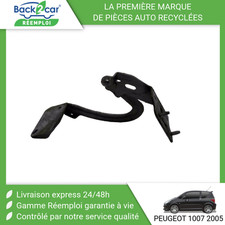 Capot Peugeot 1007