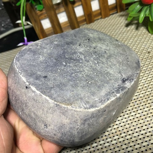 1340g Natürliches Dinosaurier Skelett des Fossil Taxis - Stein des Dinosaurier Aschenbecher - Bild 8 von 11