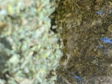 damiana 1/8 lb AND marshmallow 1/8 lb -U get 1/4 lb total organic bulk herb leaf