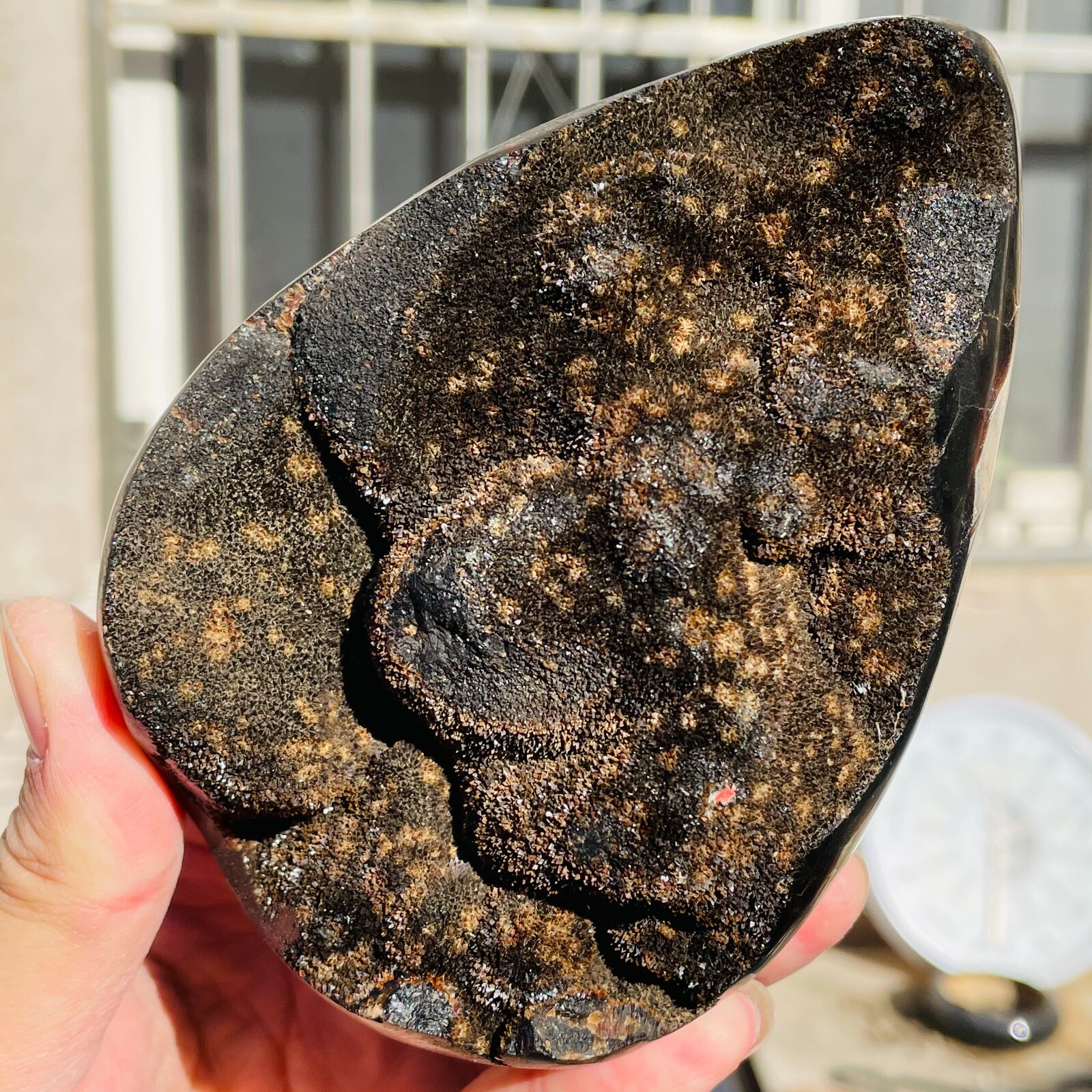 Septarium 1174g Large Natural Dragon Septarian Septarium Crystal Egg Geodes ...