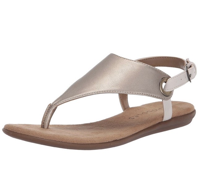 in conchlusion aerosoles