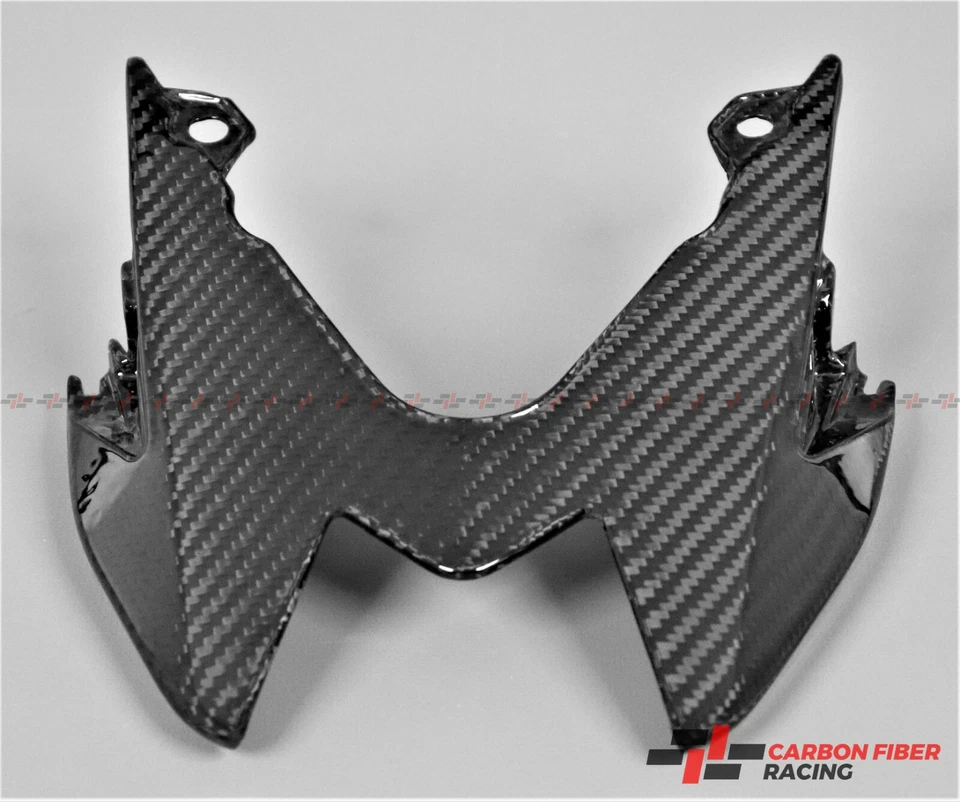 Carenado de luz trasera de fibra de carbono para BMW (S1000R 2014-2020) (S1000RR 2015-2018) Foto 2 de 3