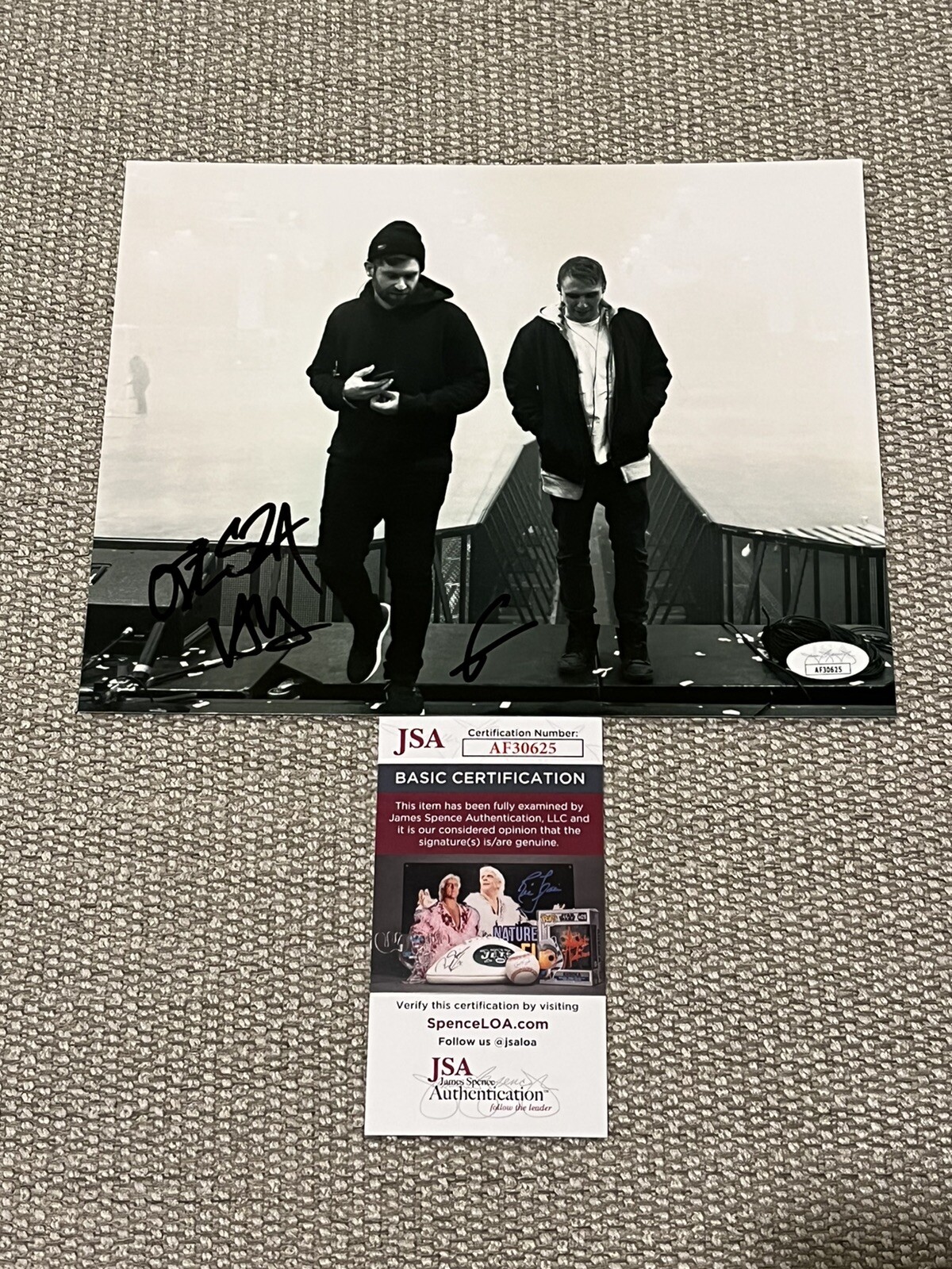 8x10 Photo Music The Last Goodbye