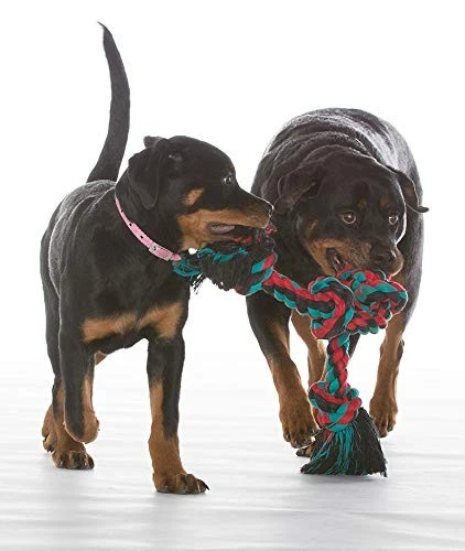 Juguete de remolcador de cuerda de 4 nudos Mammoth de 31 pulgadas extra grande de algodón duradero para masticar dental Foto 3 de 4