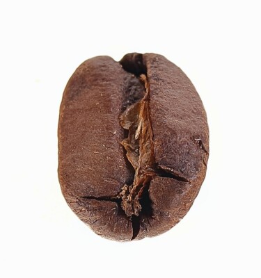 3 Kg El Salvador Kaffeebohnen - frisch geröstet - Kaffee mit SL-Röstung NP90 