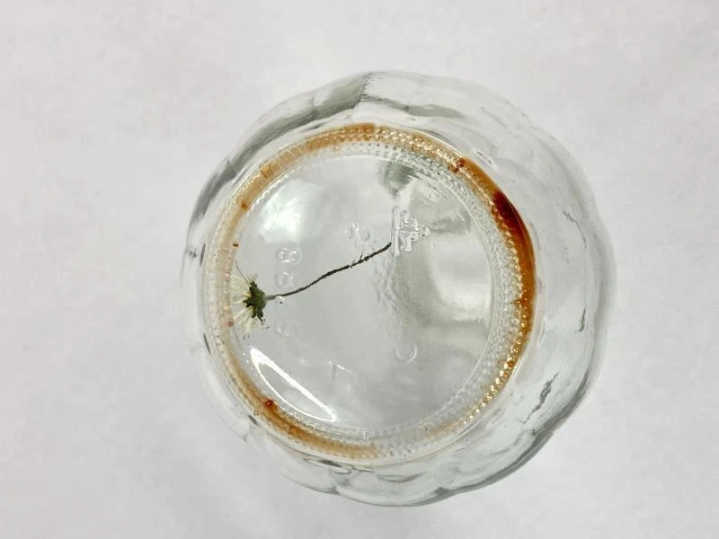 Vtg Anchor Hocking Cristal Vinagrera Decantador para Aceite/Vinegar - Usada , - Imagen 3 de 4