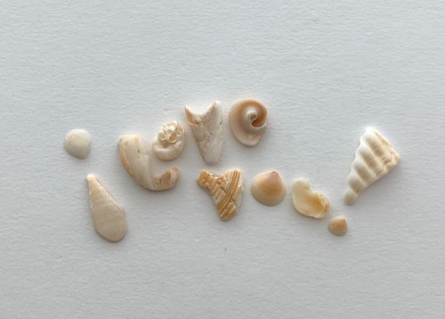 Natural Letter Shaped I LOVE YOU! beach shells Valentine craft/art seashell ❤️ - Picture 13 of 13