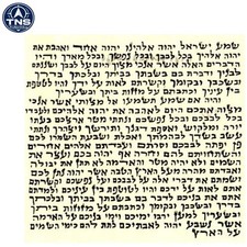 2 Pack Hebrew Mezuzah Scrolls &ndash; Beautiful Printed Klaf from Israel, 2.5&rdquo; x 2.7&rdquo;