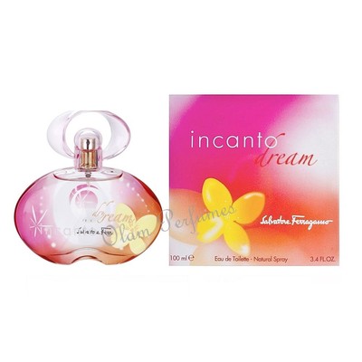 parfum incanto dream