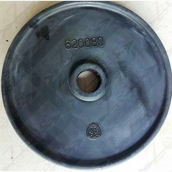 Membrane Pompe Pulvérisation ANNOVI REVERBERI Ar 30 AR503 Original 620080