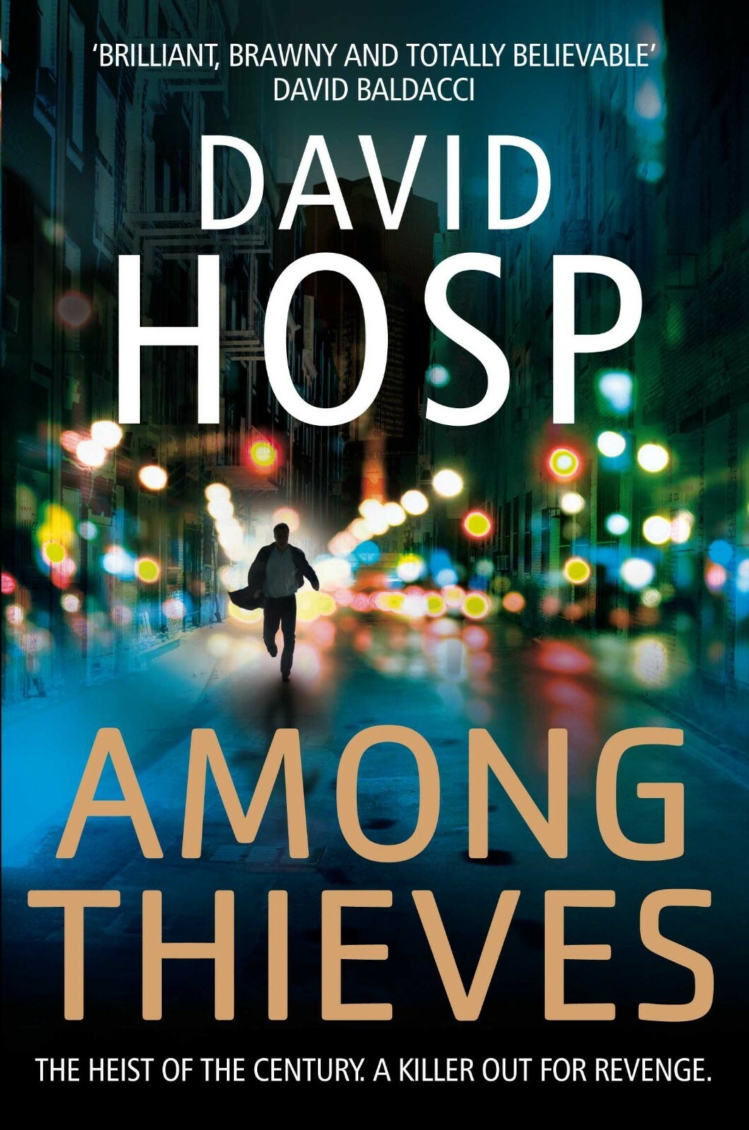 Among Thieves David Hosp (Paperback) New Book