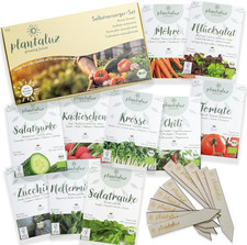 Plantaluz Bio Premium Saatgut Selbstversorger-Set – 10 Sorten Gemüse & Kräuter F
