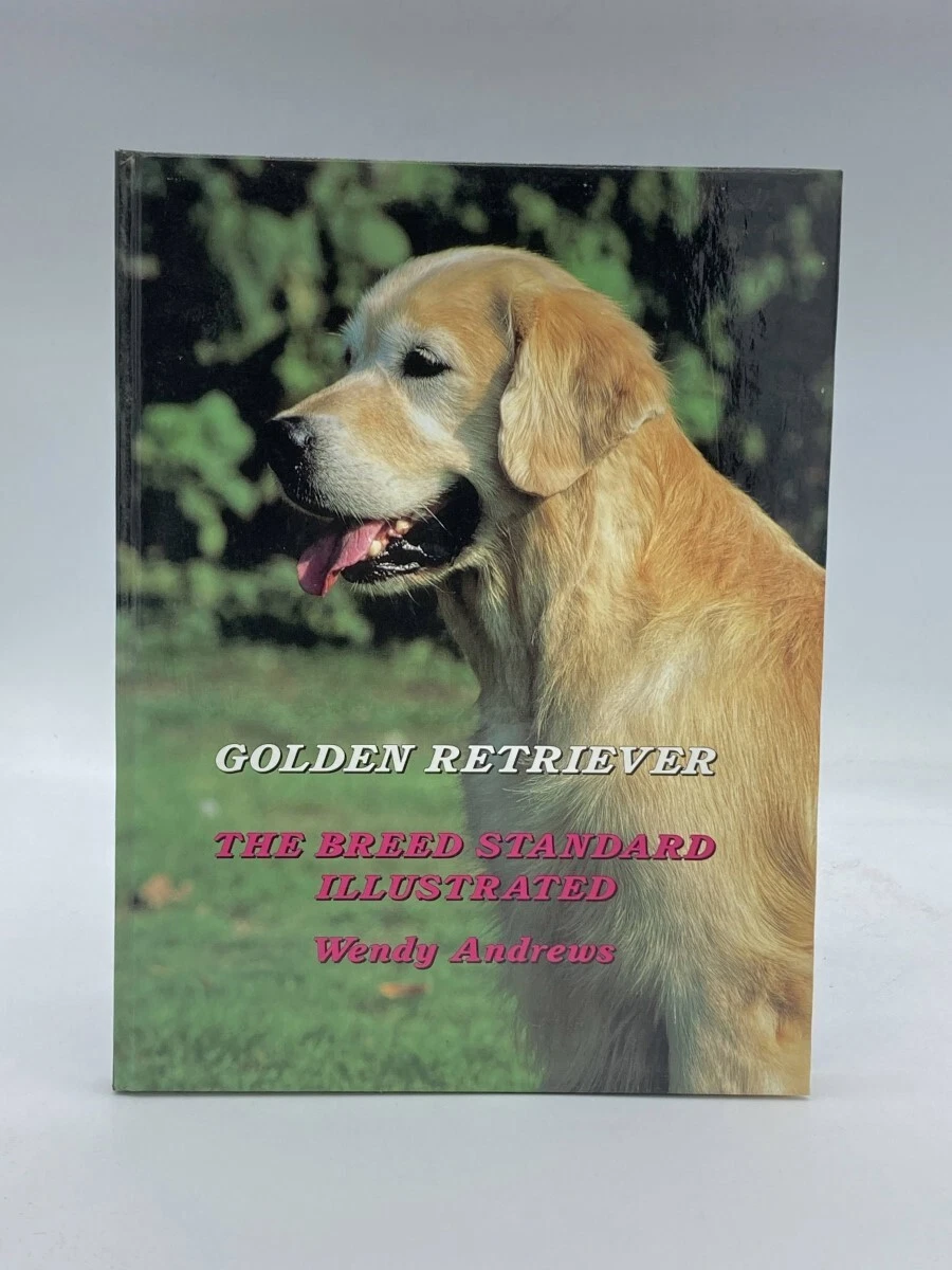 Akc standard cheap golden retriever