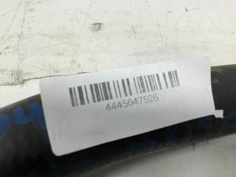 Volkswagen Beetle 1998 2007 convertible manguera de radiador inferior OEM+ Foto 4 de 4