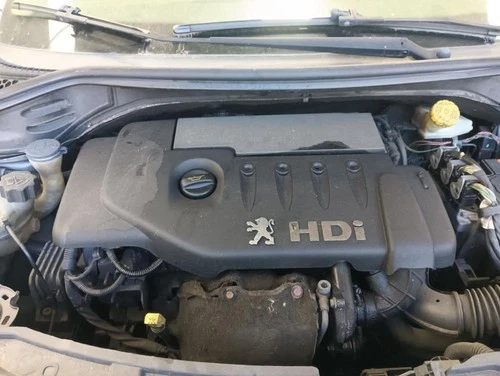 Amortiguadores Maletero/Porton para PEUGEOT 207 X-Line 2006 140477 - Imagen 4 de 8