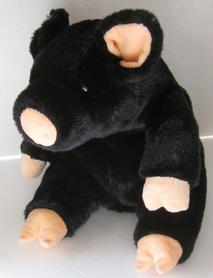 black pig toy
