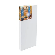 Economy Stretched Cotton Canvas - Acid-Free Acrylic Primed Canvas for Acrylic...