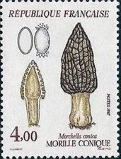France Yvert Num 2490 ** Champignon  1987
