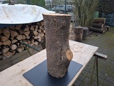 DEKO Basteln Baumstamm Holz